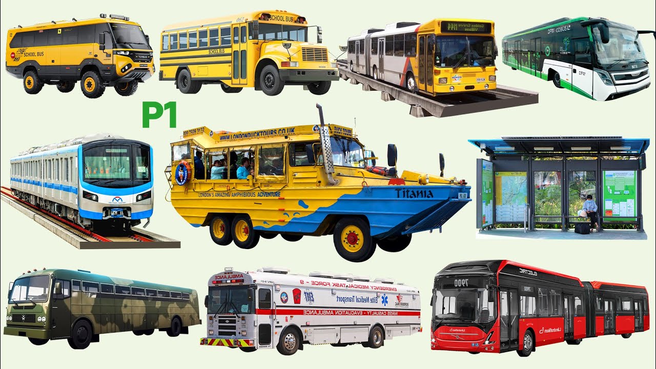 Xe Buýt Gì Đây 1, Đọc Tên Xe Bus, Phương Tiện Công Cộng, Tàu Điện, Metro, Bus, Vehicle, What is This