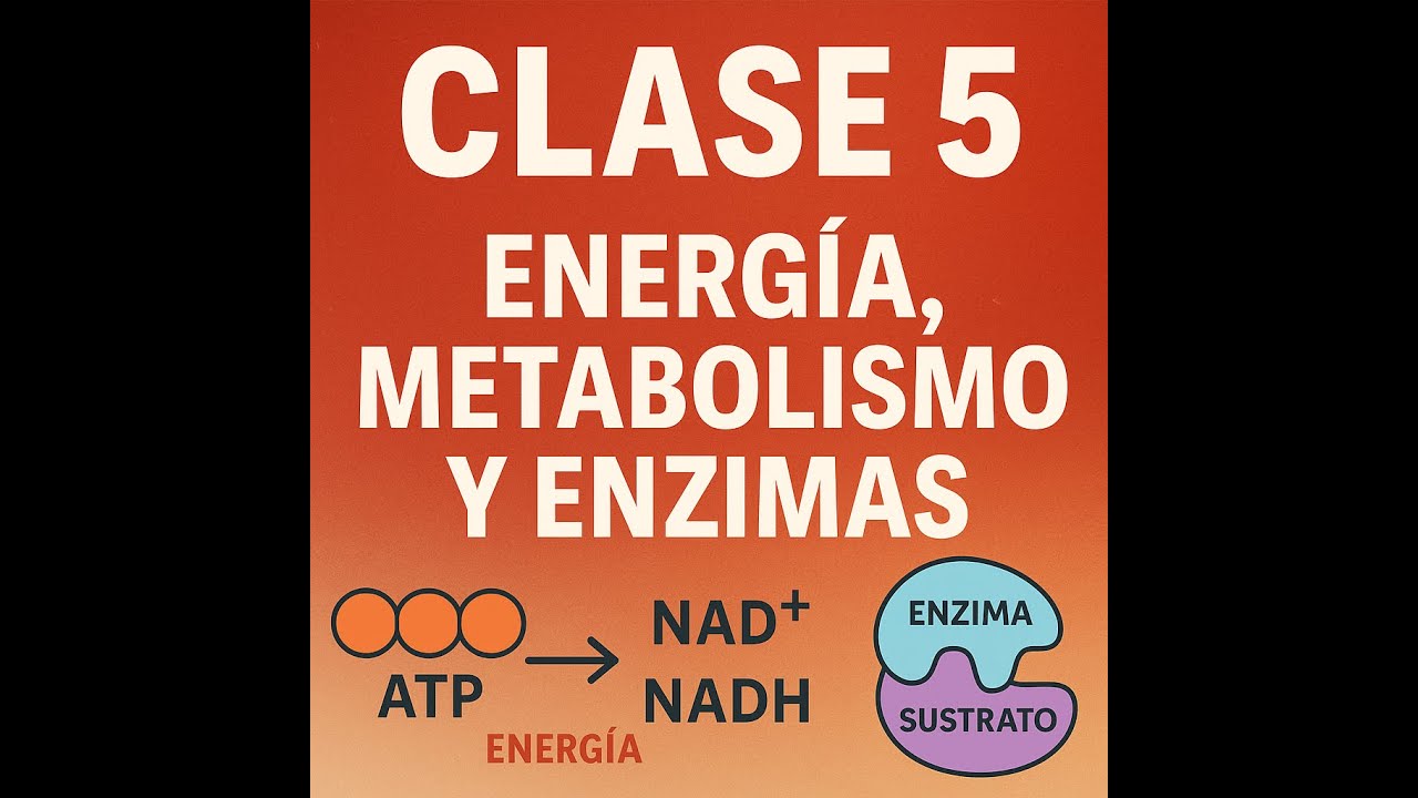 Energía, Metabolismo y Enzimas | Clase 5 Biología Ingeniería Ambiental | Autótrofos y Heterótrofos