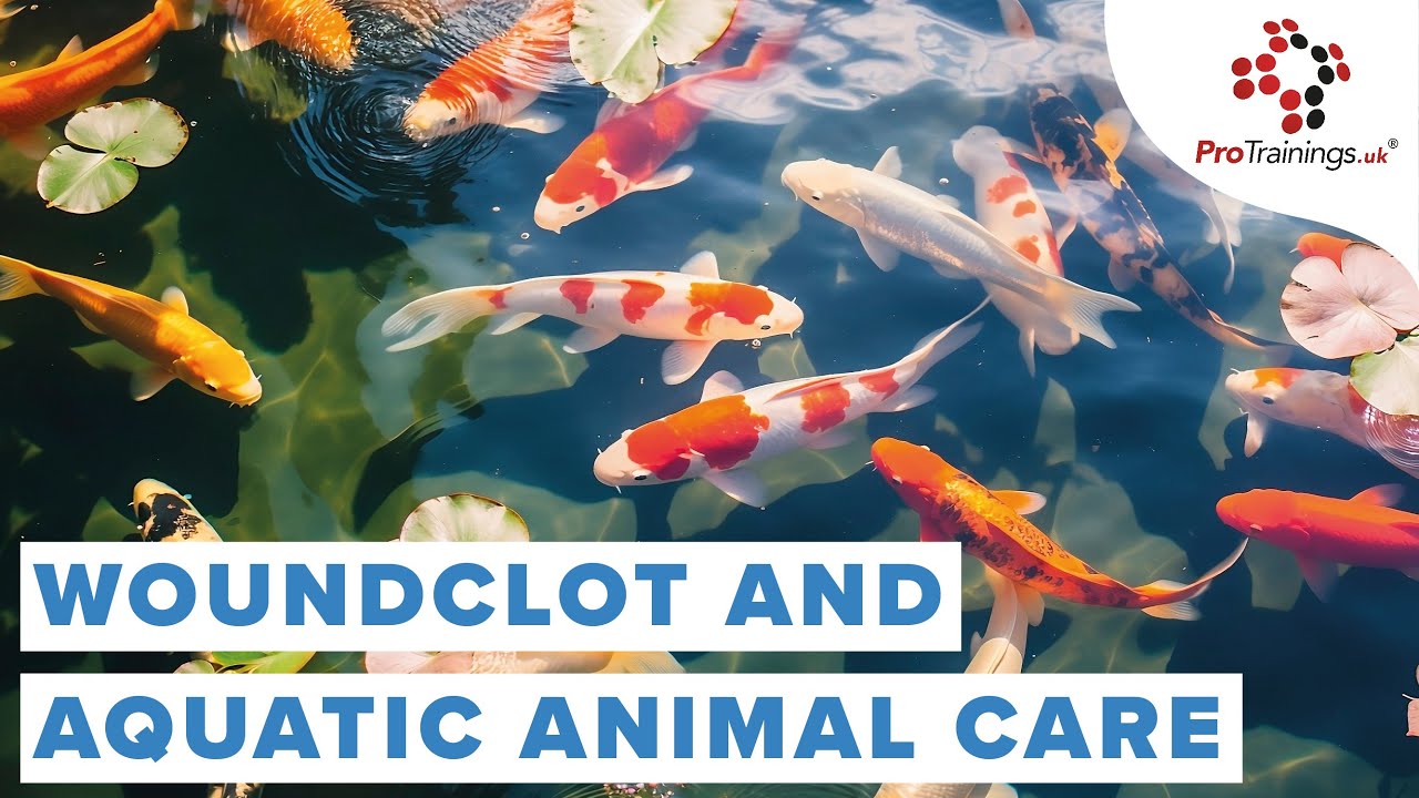 Woundclot and Aquatic Animal Care