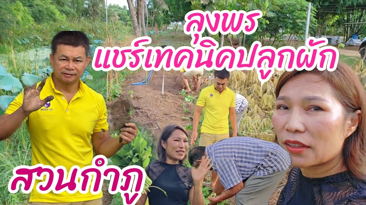 แชร์เทคนิคปลูกผักแบบลุงพร #บ้านสวนกำภูEp1079