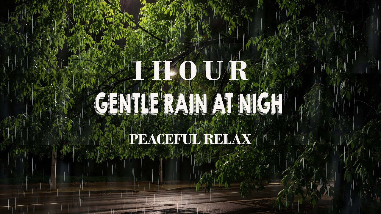 1 Hour Gentle Rain at Night | Peaceful Rain Sounds for Deep Relaxation and Sleep