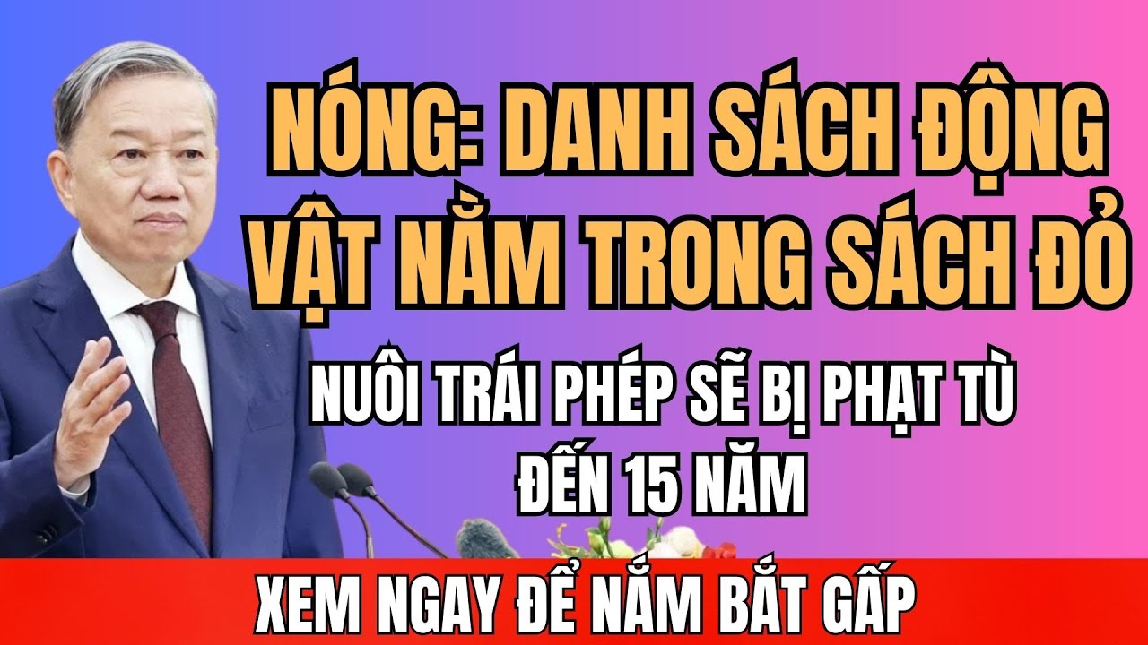 CHÍNH THỨC 1382025 Danh Sách Động Vật Quý Hiếm Nuôi Nhốt Có Thể Bị TÙ 15 Năm!