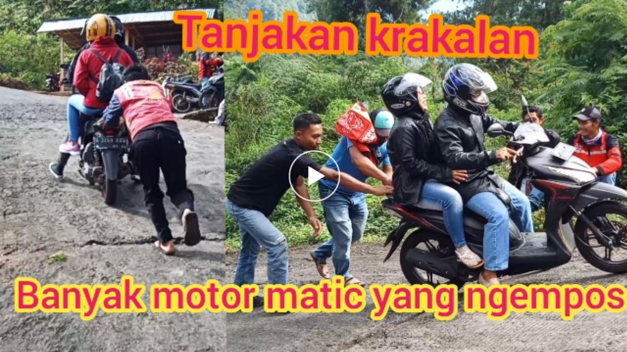 banyak motor matic gak kuat di tanjakan krakalan deles dieng
