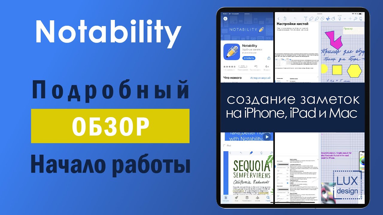 Notability. Подробный обзор. Начало работы