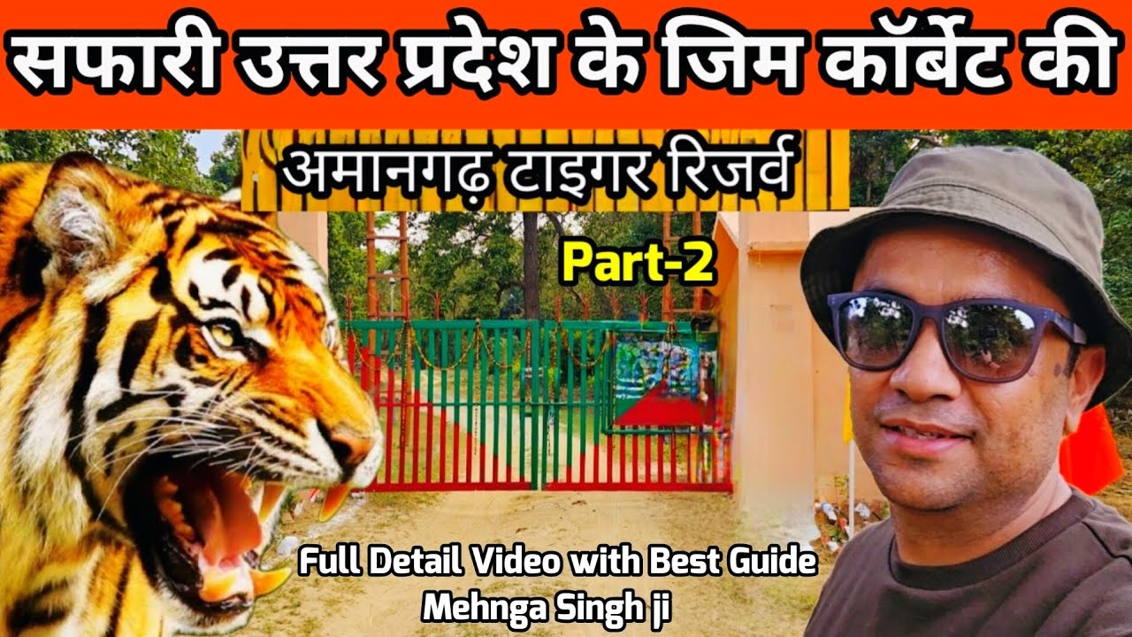 सफारी उत्तर प्रदेश के जिम कॉर्बेट की | Amangarh Tiger Reserve | #wildlife #tiger #jimcorbett Part-2