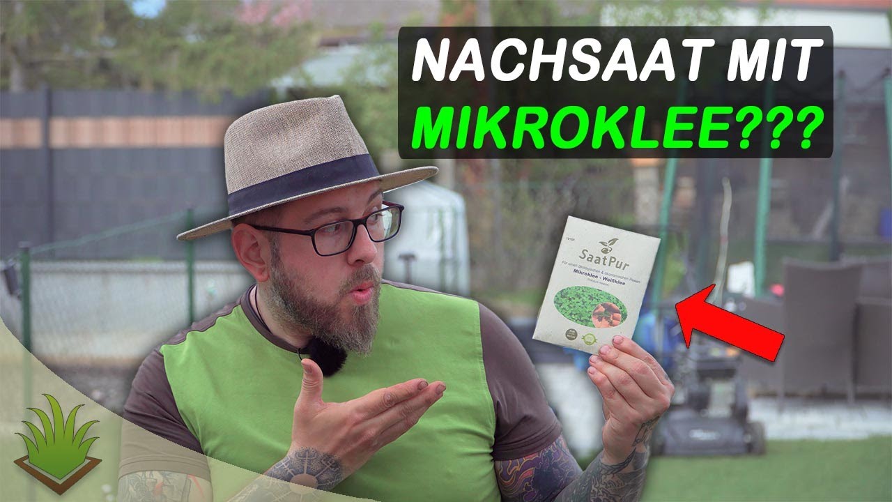 Ist Mikroklee die Antwort für eine Nachhaltige Rasenpflege?