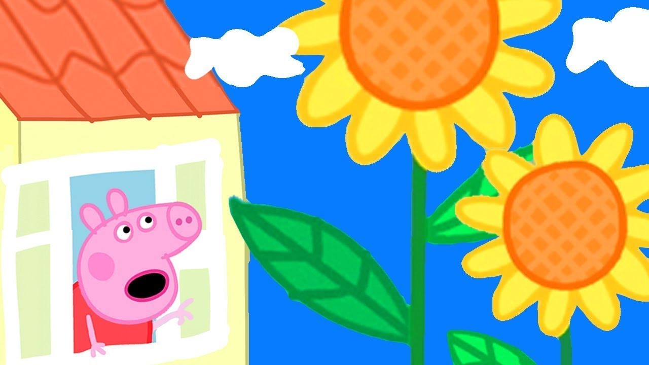 Peppa Pig Français 🌼 Des Fleurs Géantes Dans Le Jardin De Peppa 🌼 Dessin Animé Pour Bébé