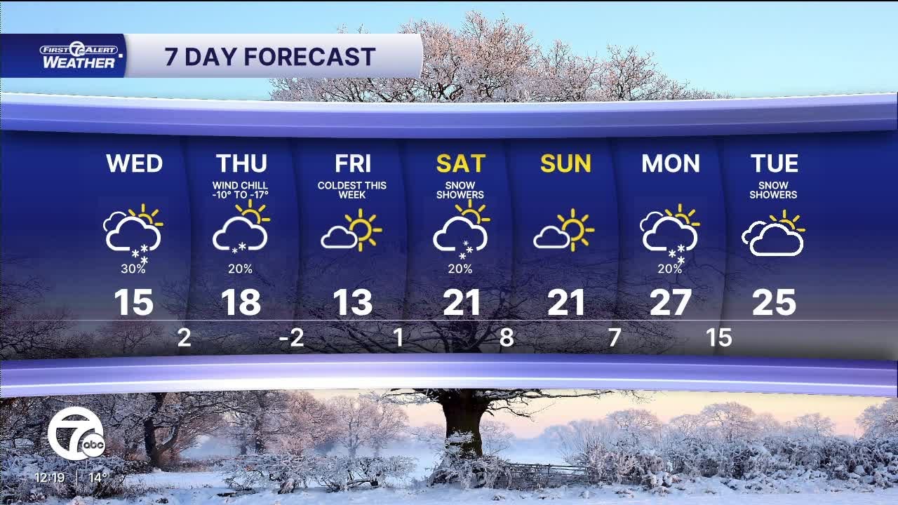Metro Detroit Forecast: Light snow and bitterly cold temperatures continue
