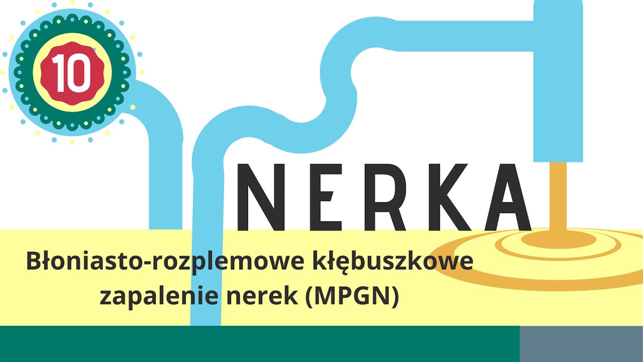 Nerka 10: Błoniasto-rozplemowe kłębuszkowe zapalenie nerek - MPGN