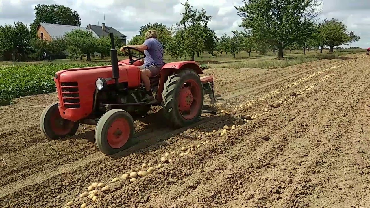 Vyorávač brambor AM4-001