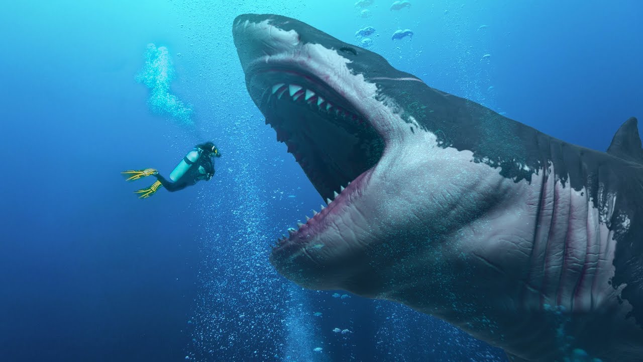 È davvero stato trovato un megalodonte vivo nella fossa delle Marianne?