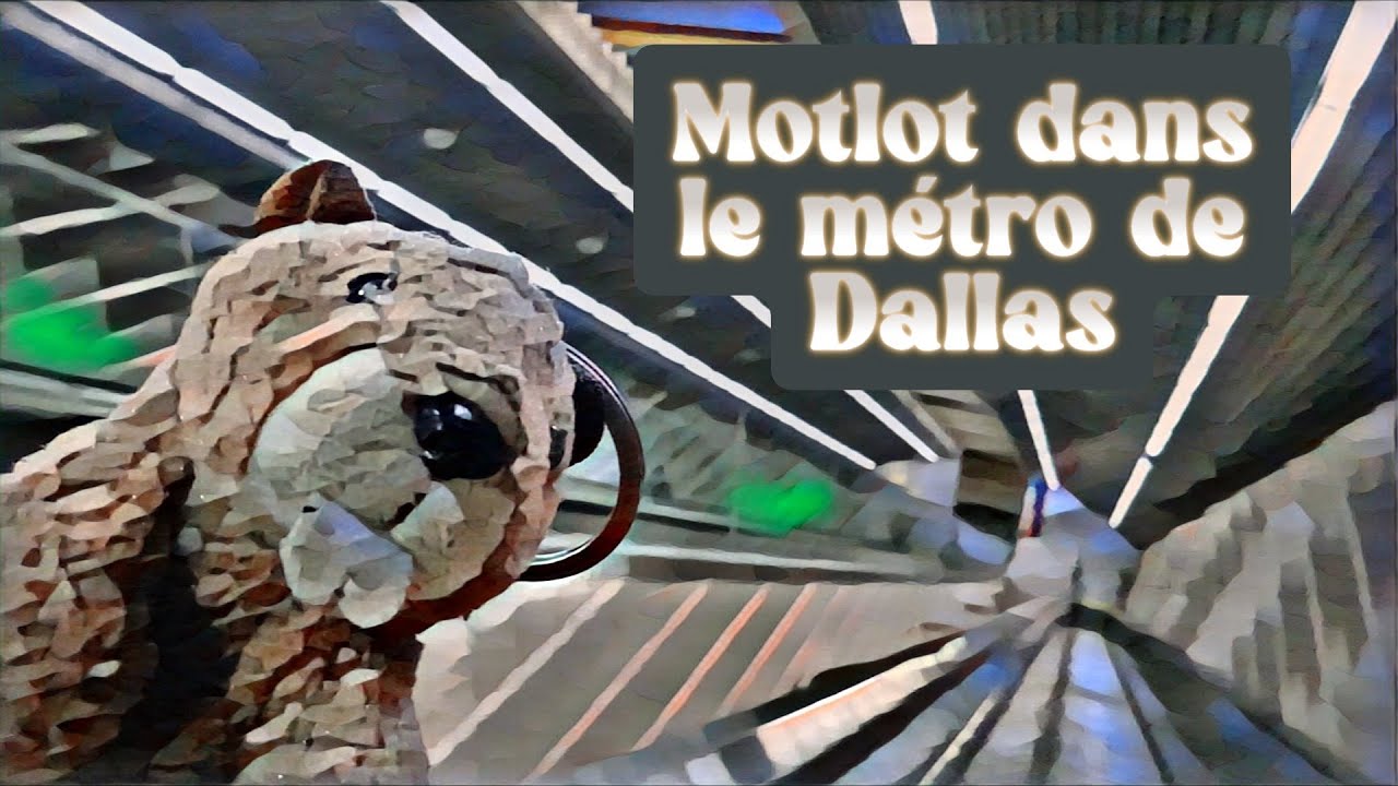 Motlot dans le métro de Dallas