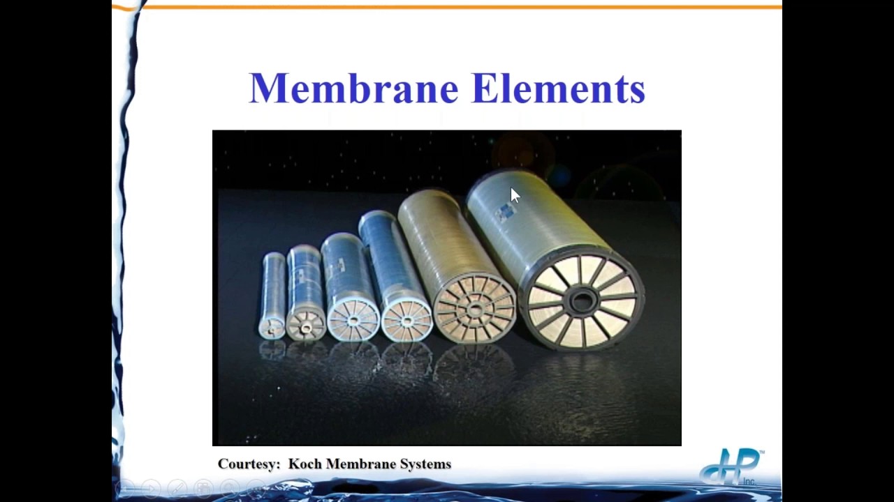 Advanced Troubleshooting of RO Membranes Through Element Austopsies text