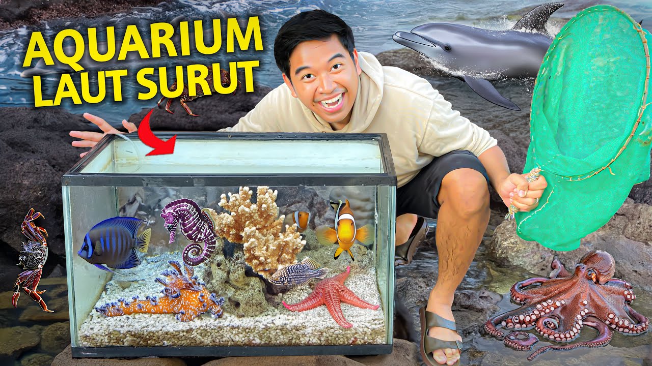 BIKIN AQUARIUM DAN ISINYA LANGSUNG DI LAUT YANG LAGI SURUT! HEWANNYA BERMACAM-MACAM!