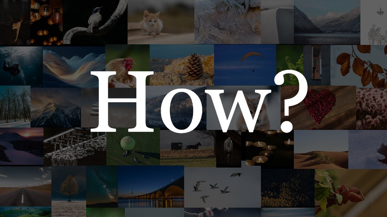 How Generative Models Learn 256^4,718,592 Images