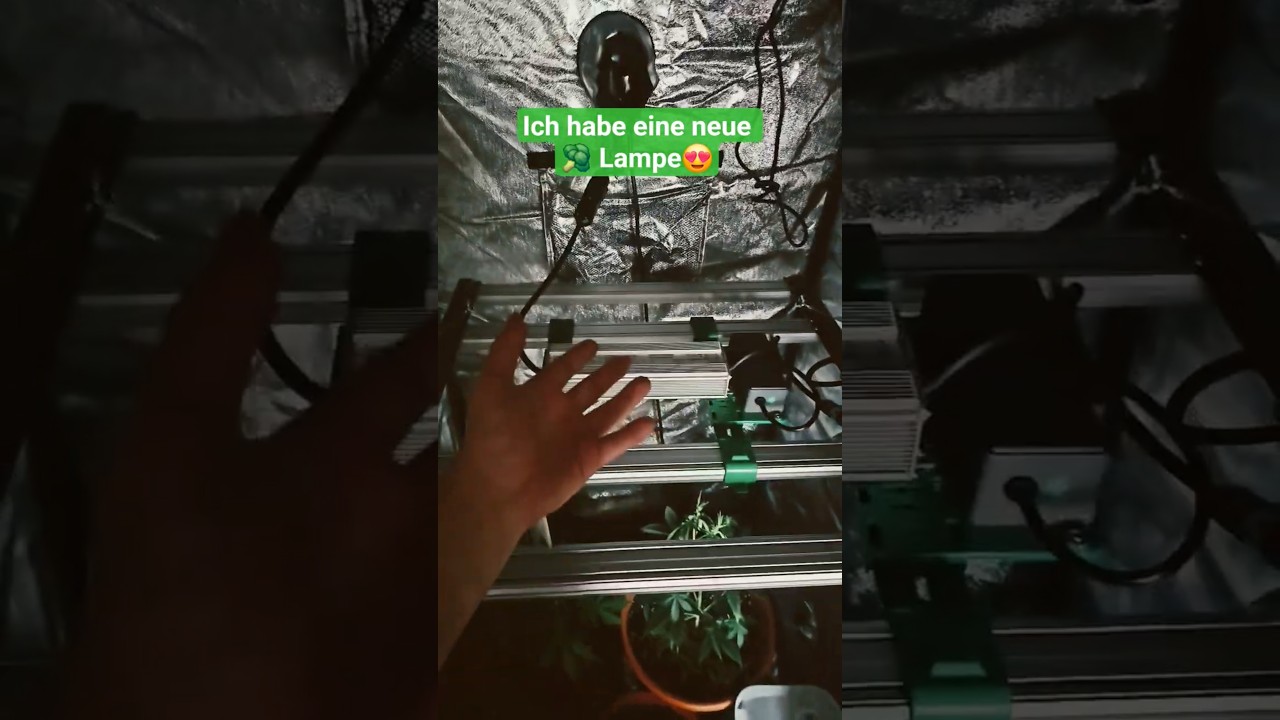 #Neue 🥦 #Growlampe #Anbau #Grow #homegrown #homegrow #MarsHydro #Lampe #Deutsch #German #Plant #fyp