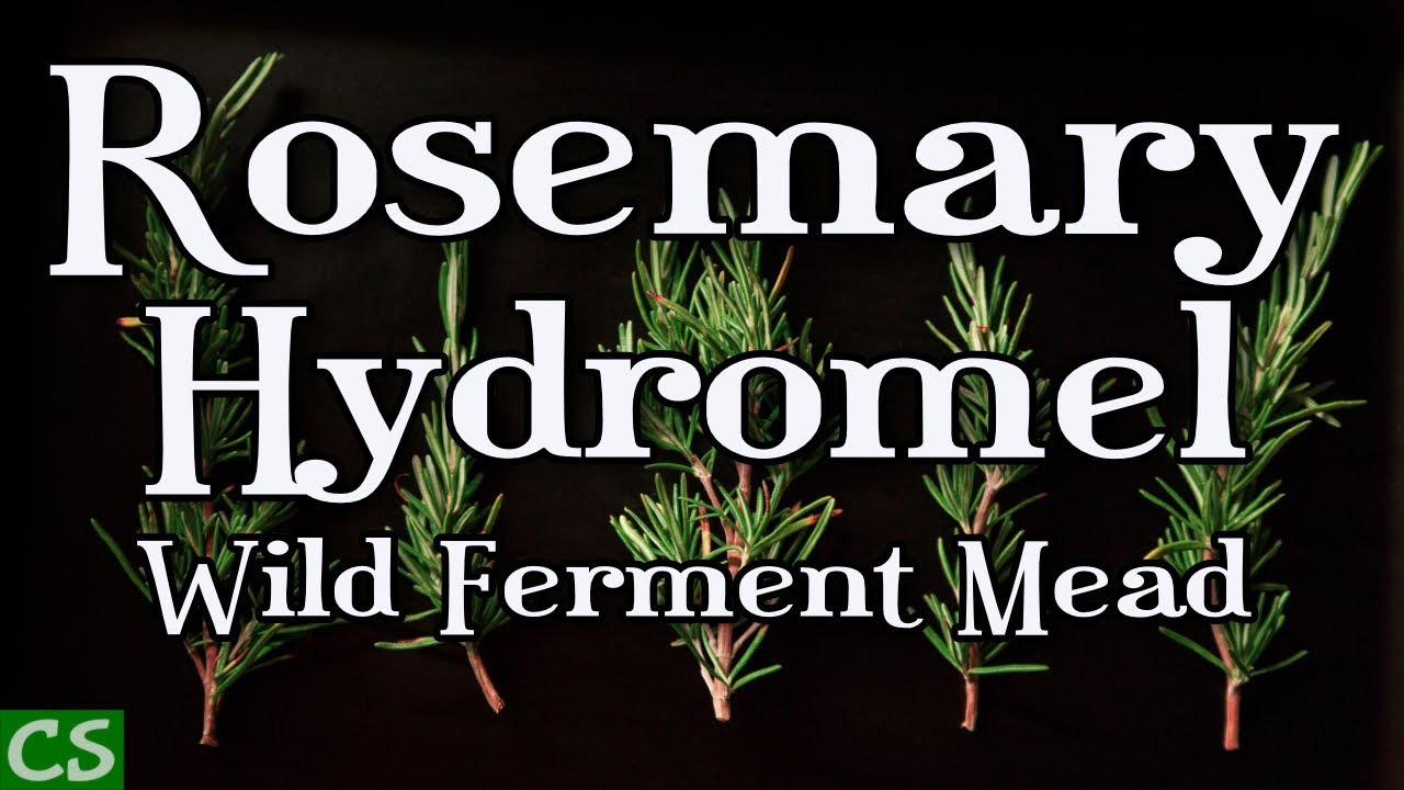 Rosemary Hydromel Mead - How to Make Mead without Yeast!