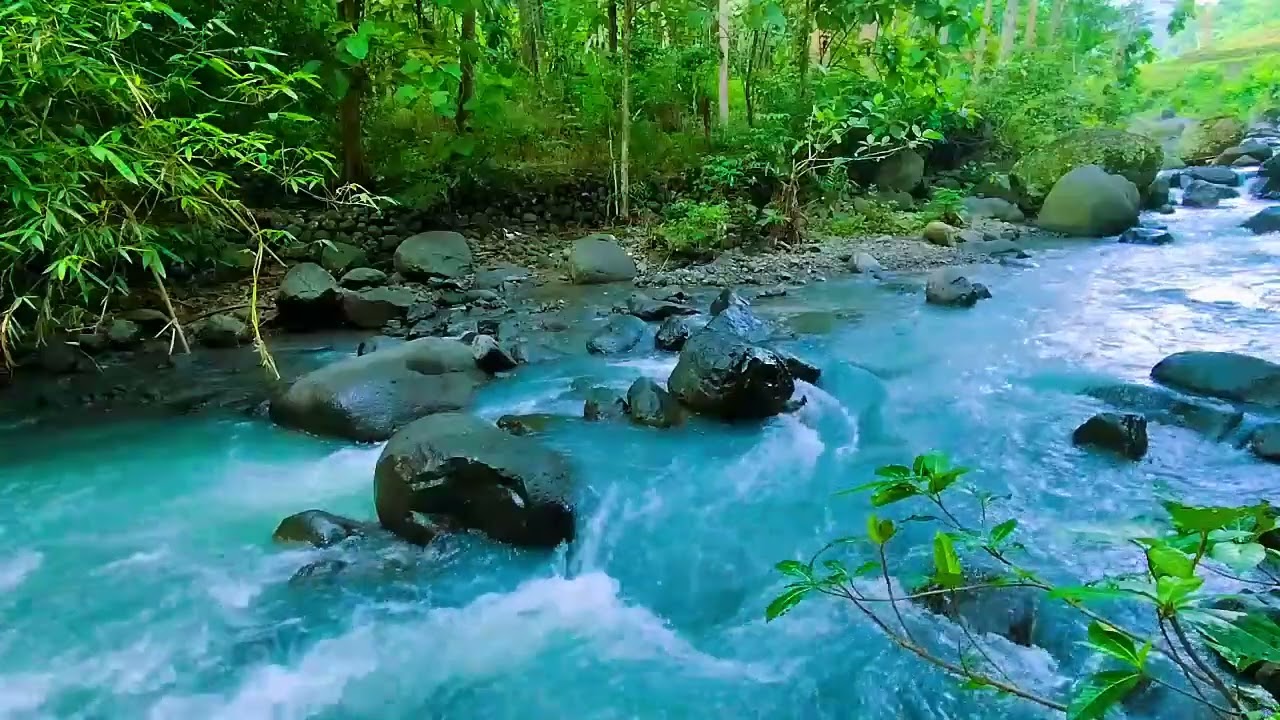 i Fall Asleep - Soothing Water Stream Sounds and Gentle River Flow