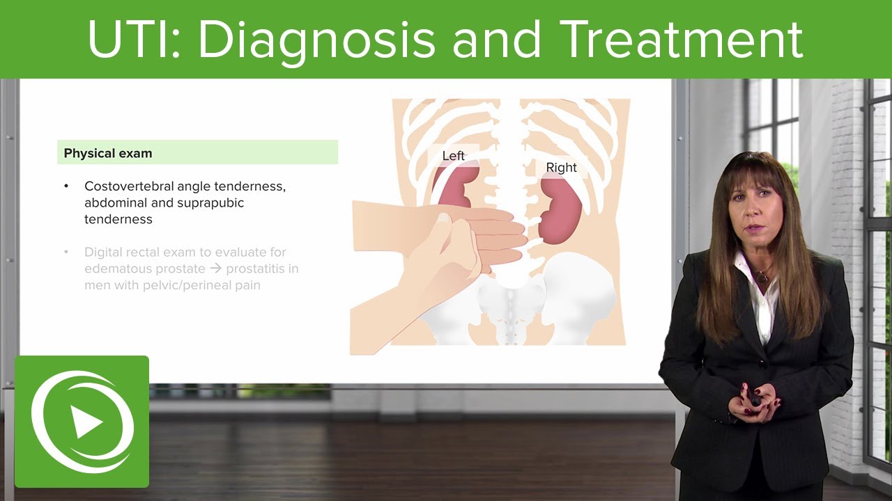 UTI: Diagnosis and Treatment &ndash; Nephrology | Lecturio