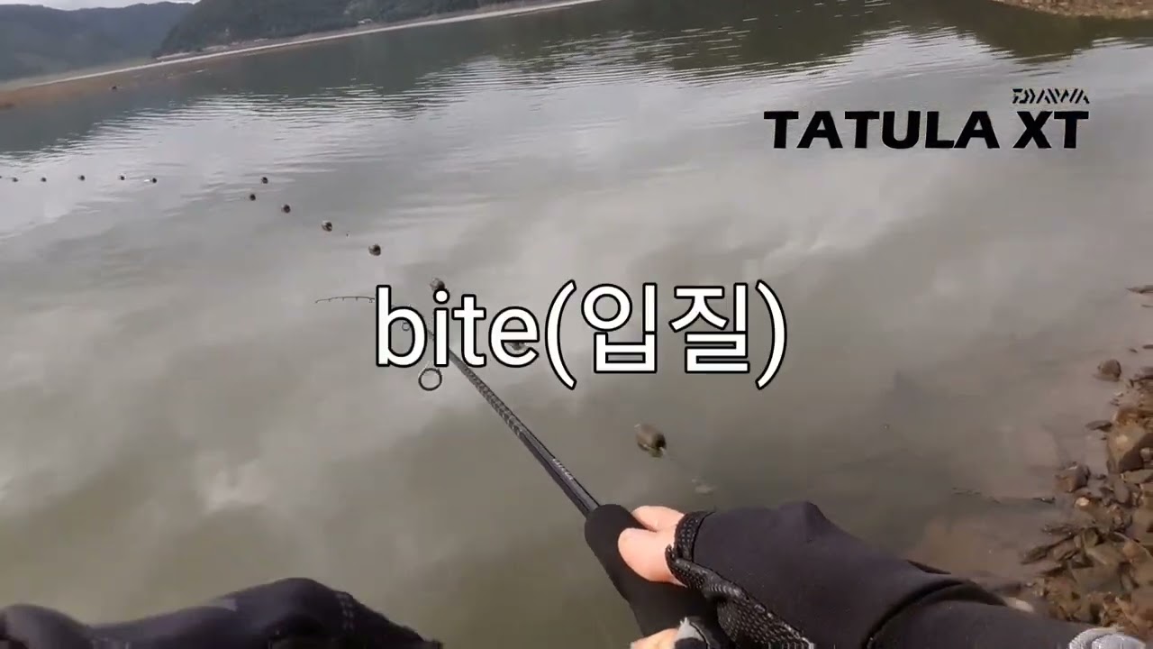 DAIWA TATULA XT 642LFS REVIEW