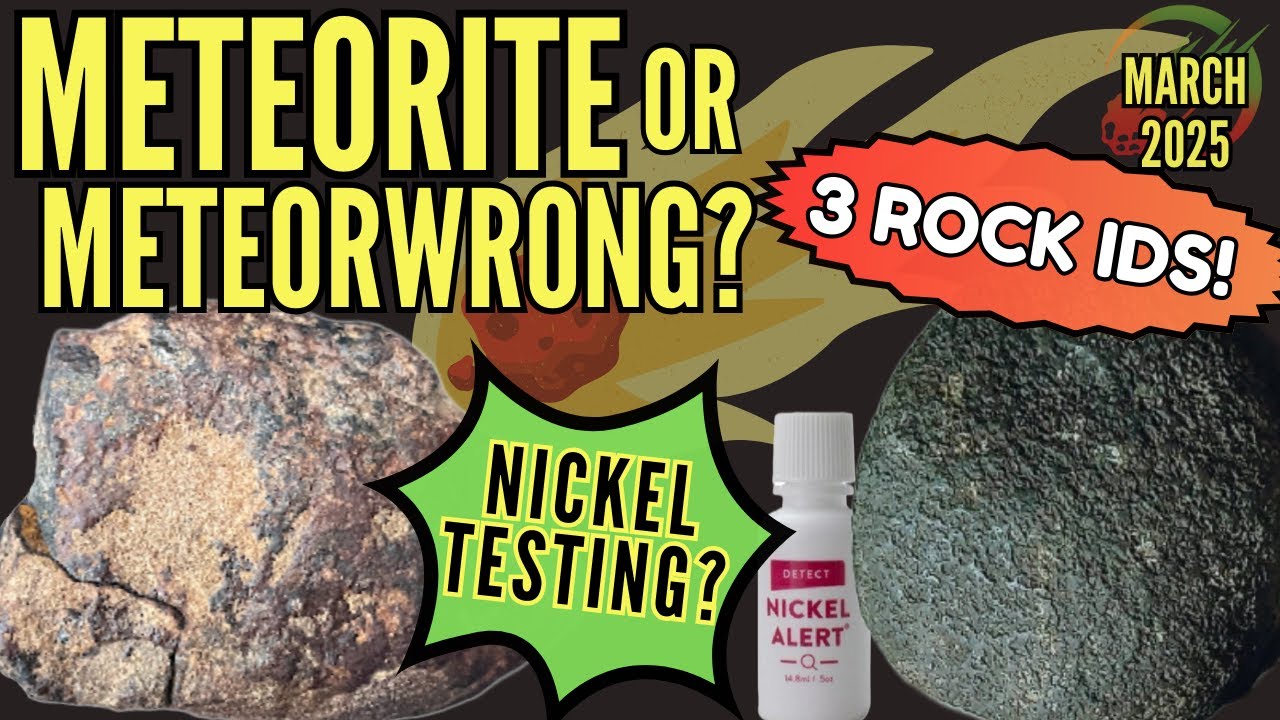 Is it a Meteorite ☄️ or a MeteorWRONG? Rock IDs for Rockhounder Patreons  March 2025