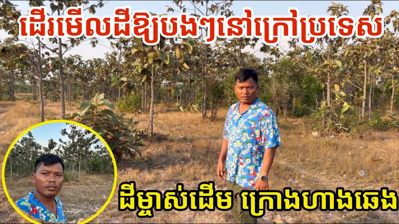 #3359 ដើរមើលដីលក់ក្រោមហាងឆេង បងៗនៅក្រៅចង់ទិញដី | សម្បត្តិជន 