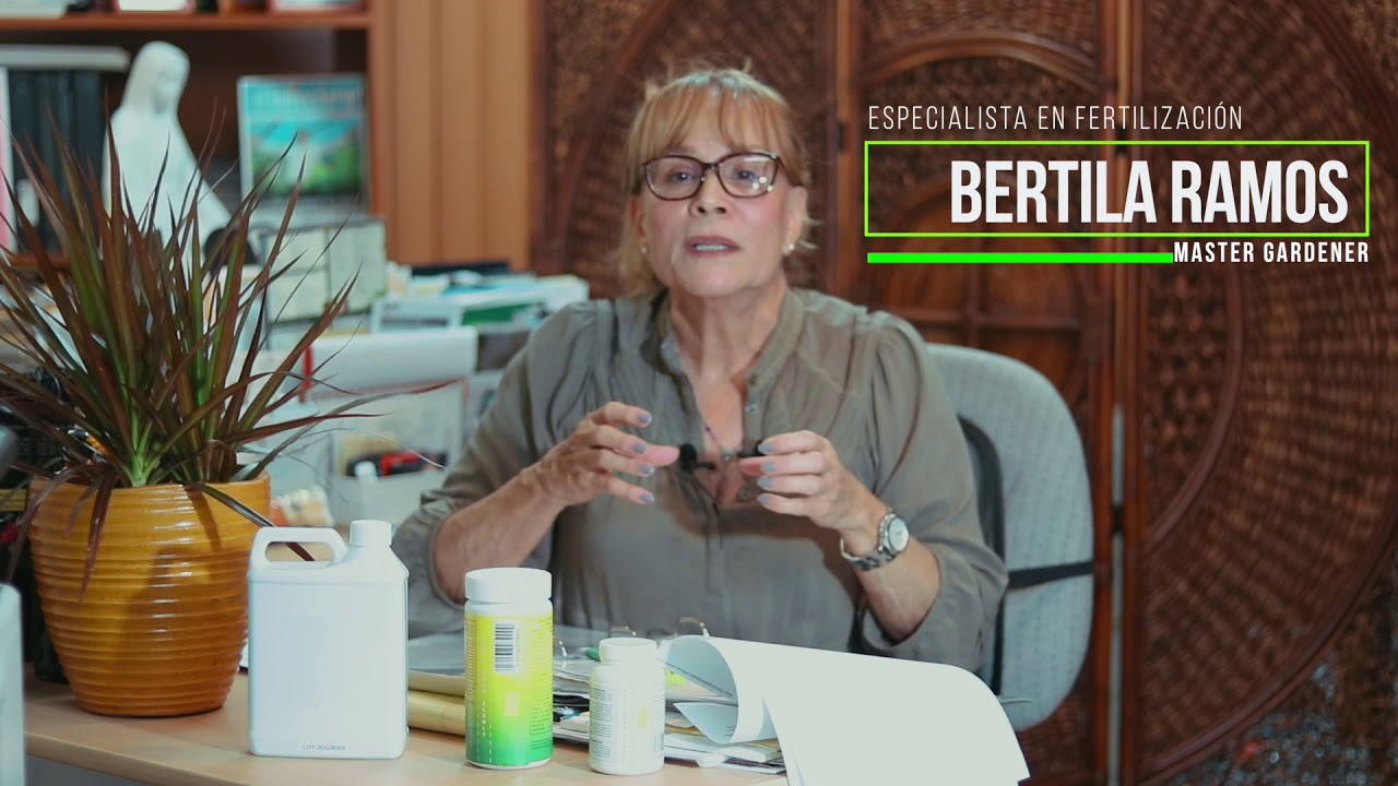 Que son los fungicidas y para que se utilizan ⎢Preg&uacute;ntale a Bertila ⎢ Cl&iacute;nica de las Plantas