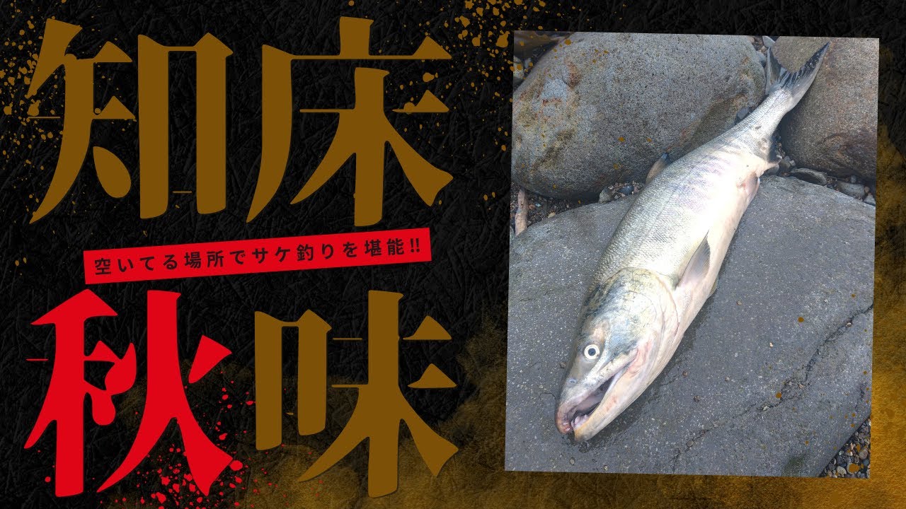 [北海道][釣り]空いてる場所で鮭ゲット‼大自然を堪能しました💛#道東＃サケ釣り＃ウキルアー＃アキアジ釣り＃北海道＃釣り