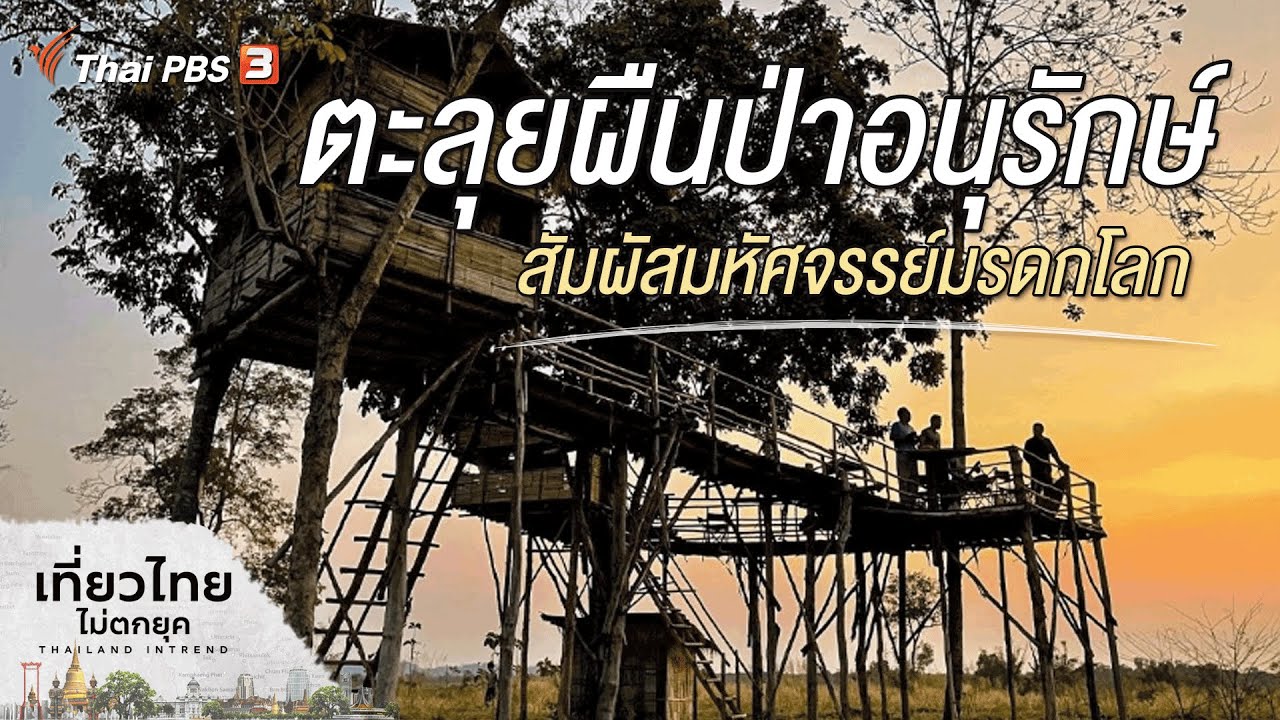 ตะลุยผืนป่าอนุรักษ์ สัมผัสมหัศจรรย์มรดกโลก จังหวัดอุทัยธานี | เที่ยวไทยไม่ตกยุค
