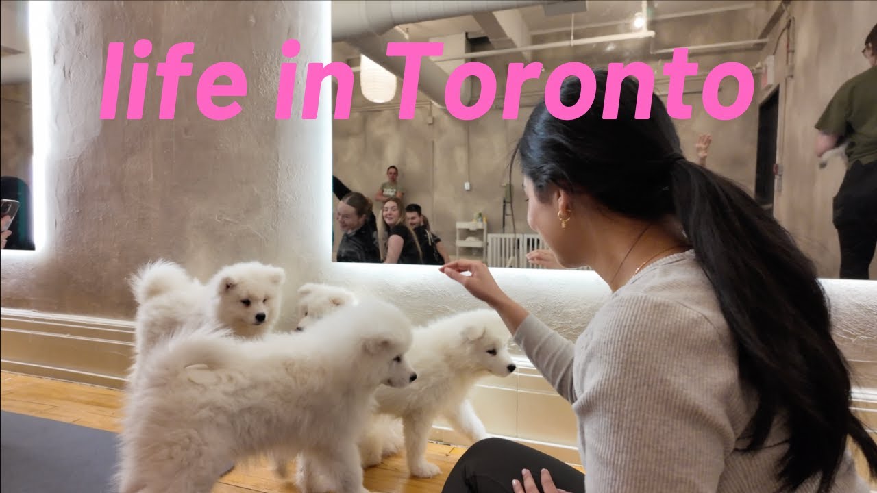 Life in Toronto || Puppy yoga, cute stores & more