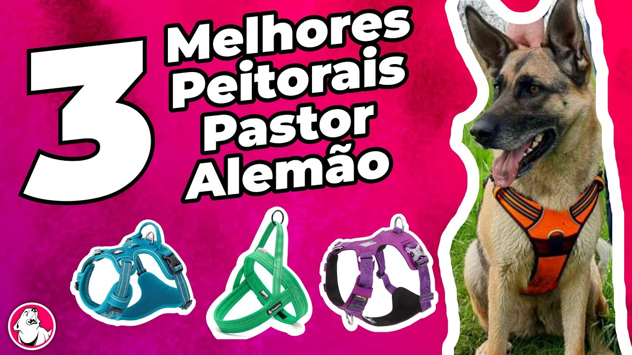 3 MELHORES PEITORAIS TRUELOVE PARA PASTOR ALEMÃO