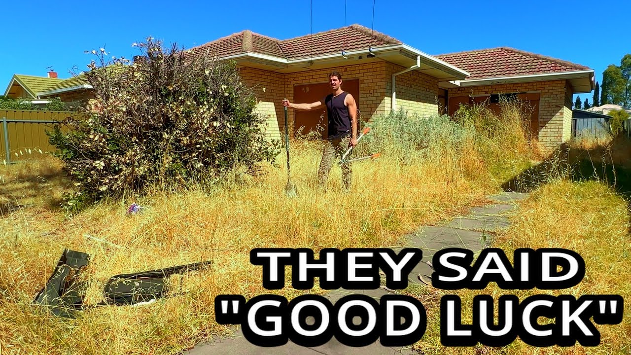 I TRIED To Save This Neighbourhood From An Overgrown Nightmare