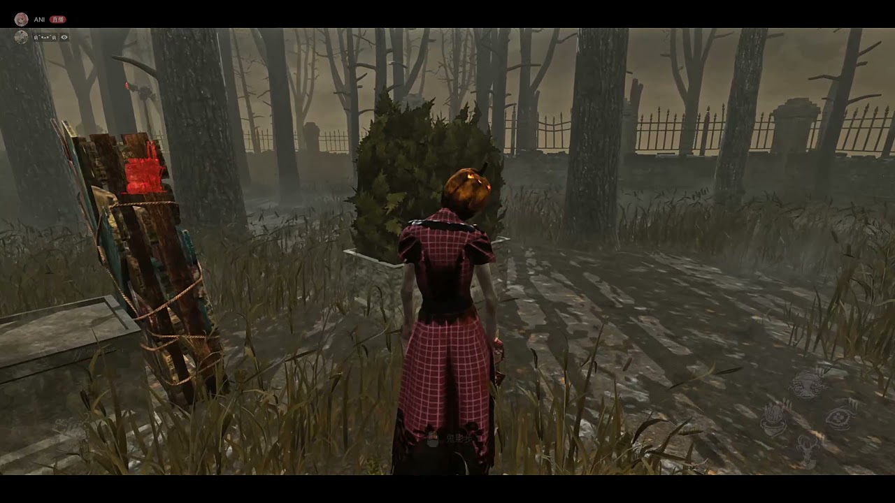 [DBD]護士#24