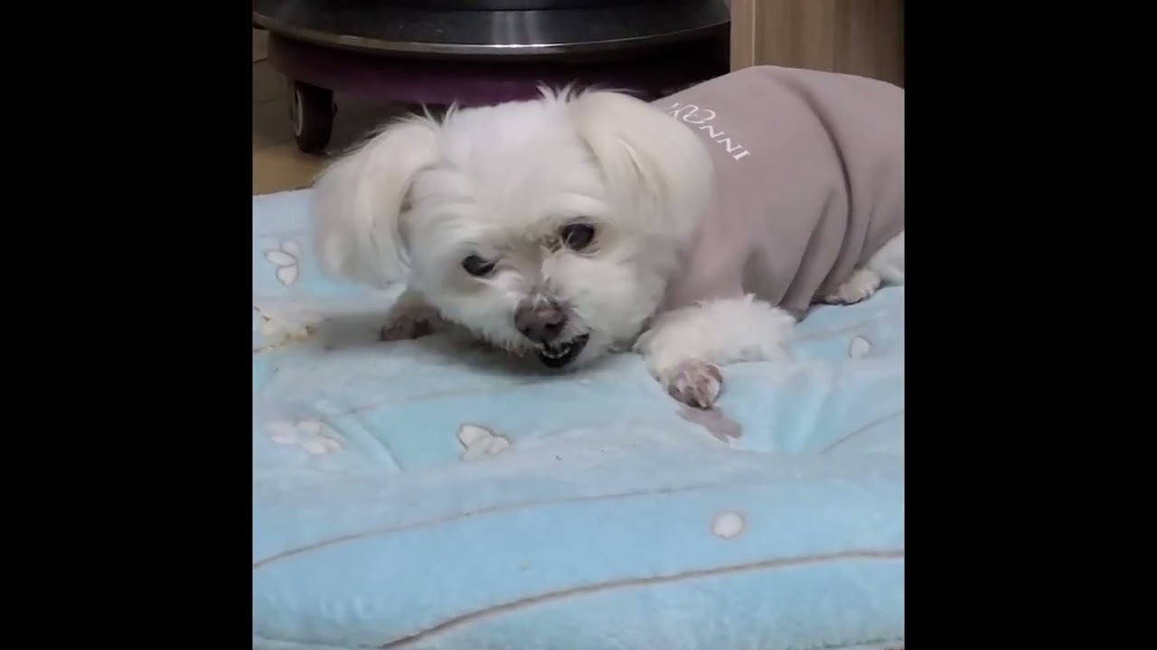 내가 영원히 사랑하는 하늘이