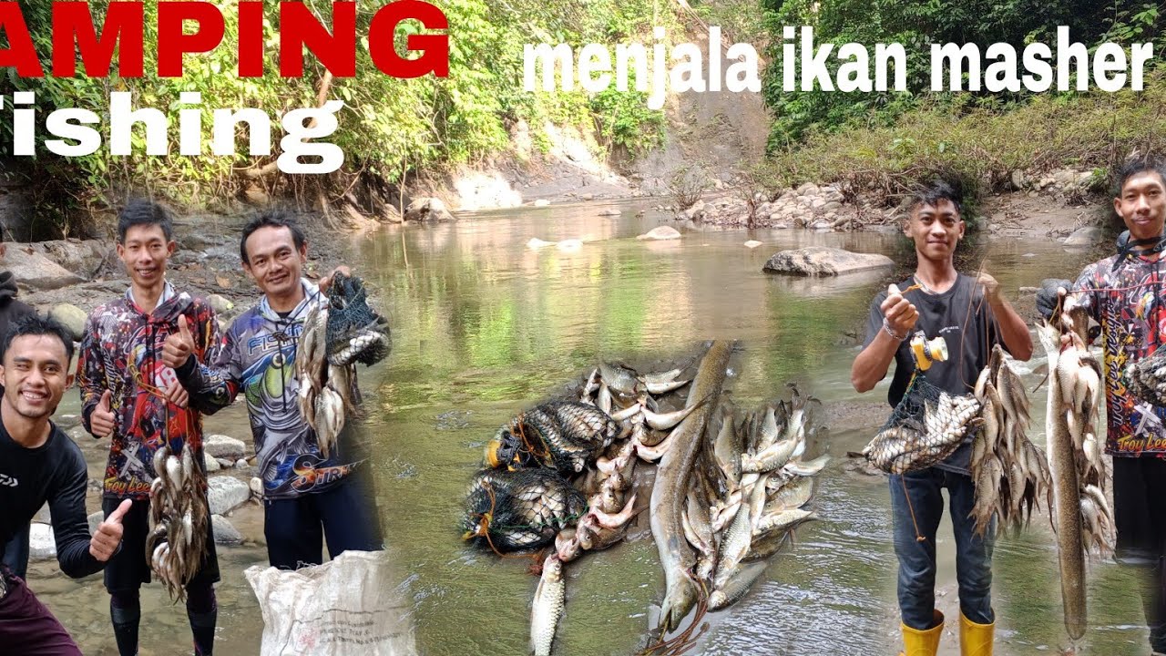 Camping fishing ke hulu sungai  menyelam dan menjala ikan masher ..
