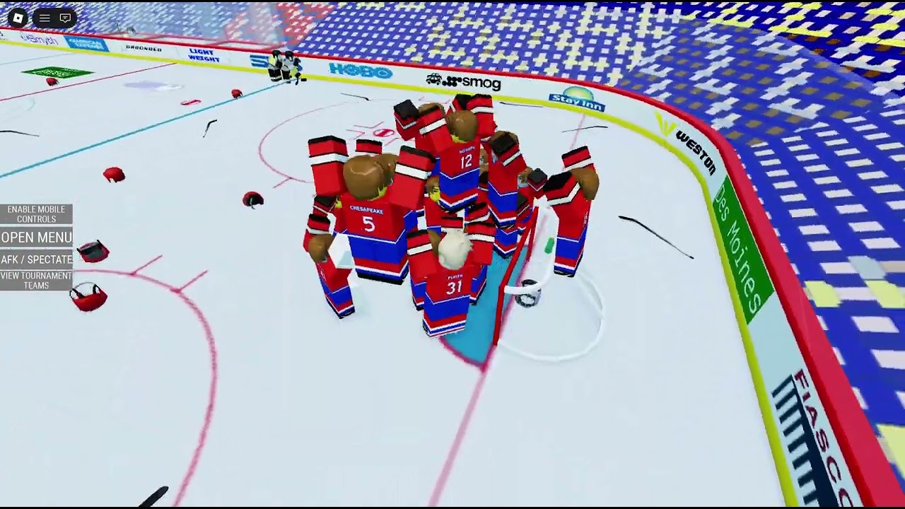 Playing Ro-Hockey-World-Tour and winning the Cup!
