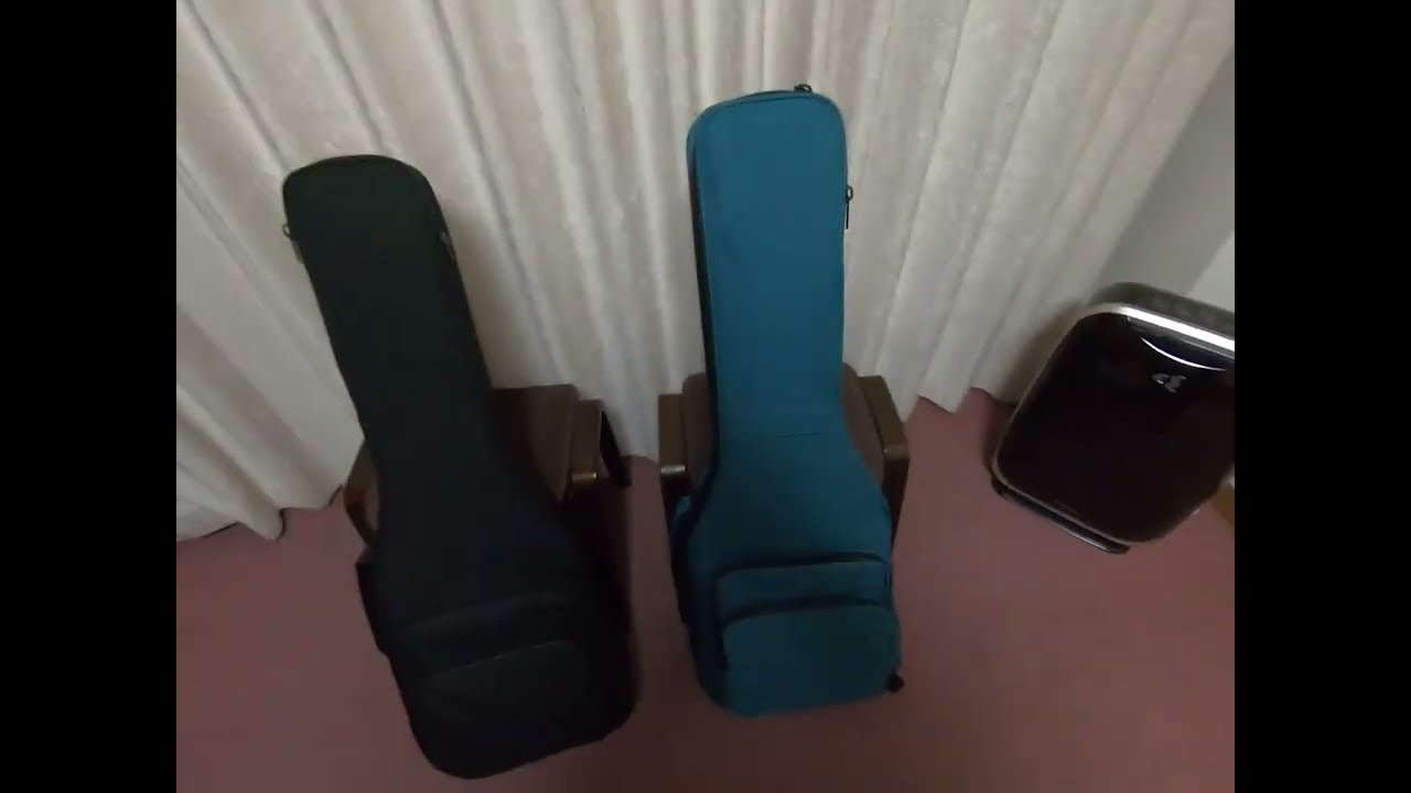 ギターギグバック　アリアABC 300 #ケース #guitar #guitarist