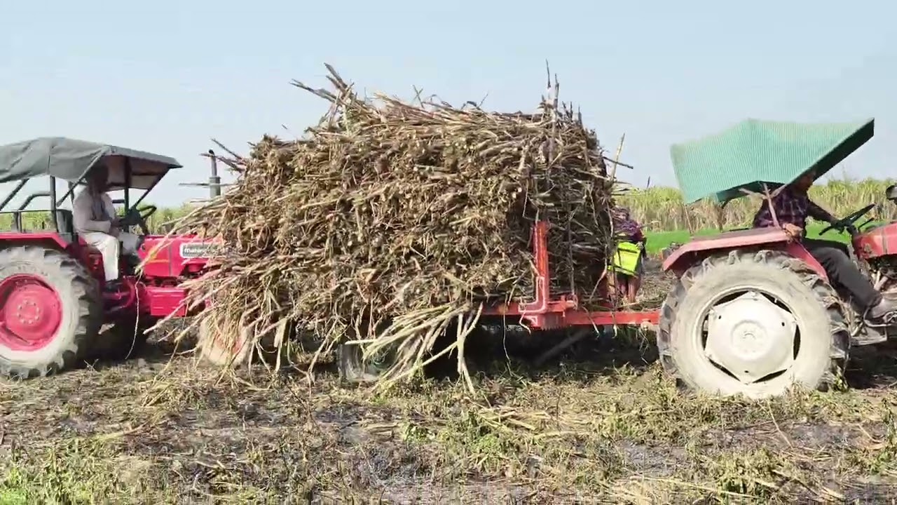Full  vedio 🚜🚜 in my farming vlog