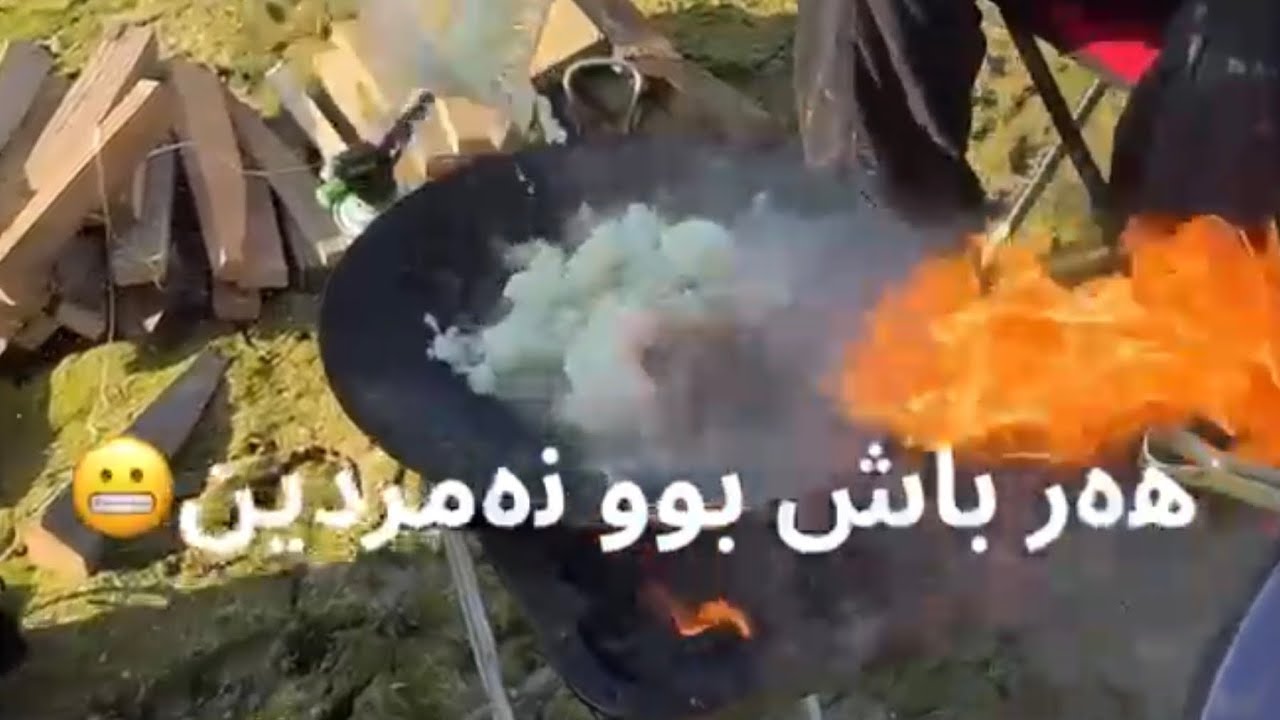ڤڵۆگی دارستان😬