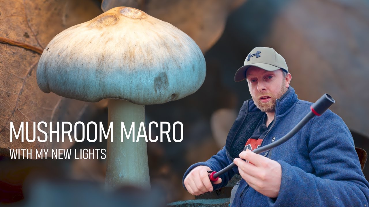 Mushroom Macros with My Smallrig RM03s