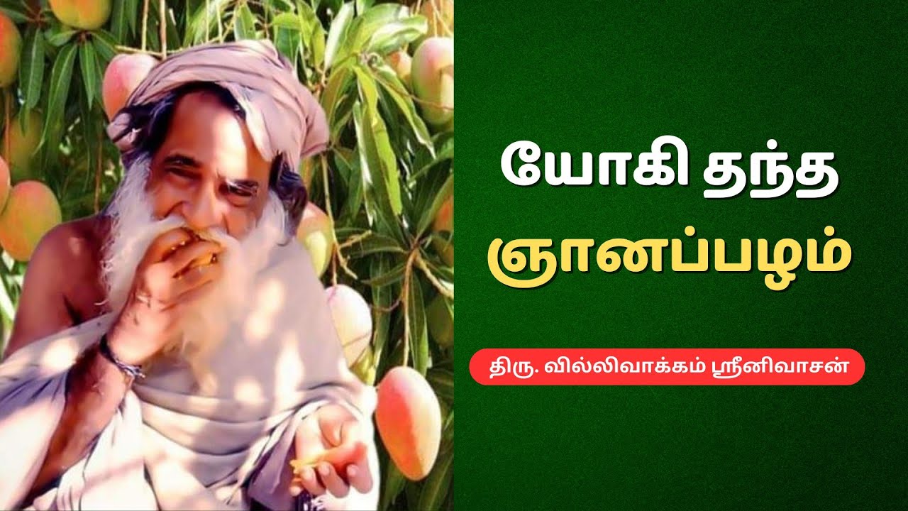 34. Experience with Yogi Ramsuratkumar - Sri. Srinivasan #yogiramsuratkumar #யோகிராம்சுரத்குமார்