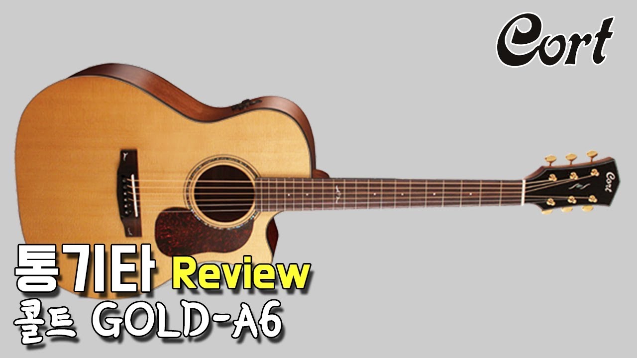 콜트 기타 GOLD-A6 리뷰 By 통기타이야기