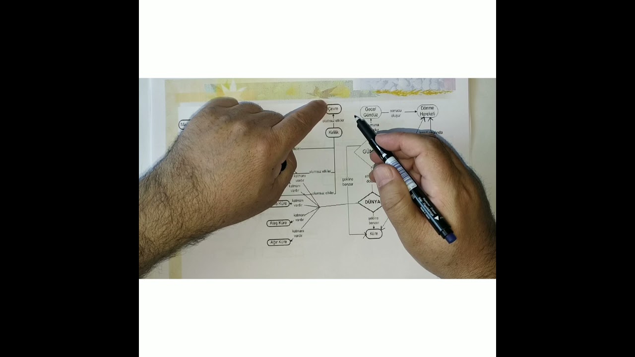 KAVRAM HARİTASI Nedir, Nasıl Yapılır, Nasıl Okunur
