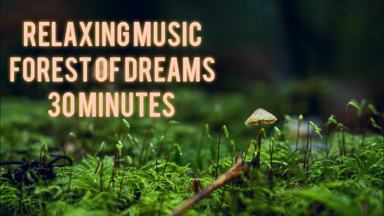 Relaxing Music for Meditation and Healing - Forest of Dreams 30 minutes