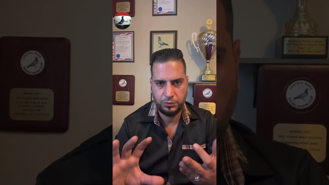 تجهز الحمام للسباق القادم/هذا حسابيhttps://www.tiktok.com/@adamsloft?_t=8ghdcFkE8IV&_r=1