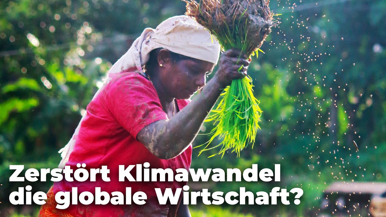 Lässt Klimawandel globale Wirtschaft zusammenbrechen?! - Clixoom nature