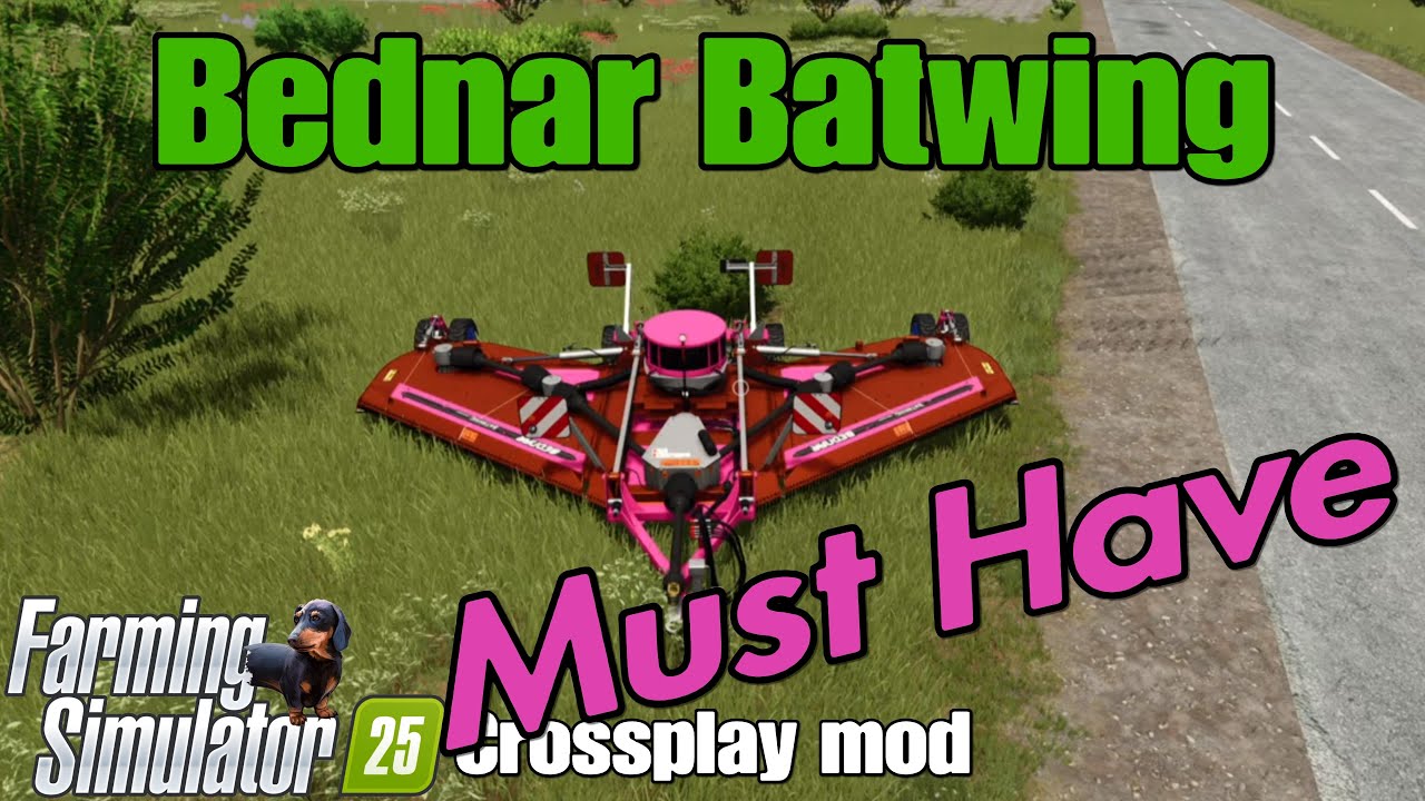 Bednar BatWing / FS25 crossplay mod