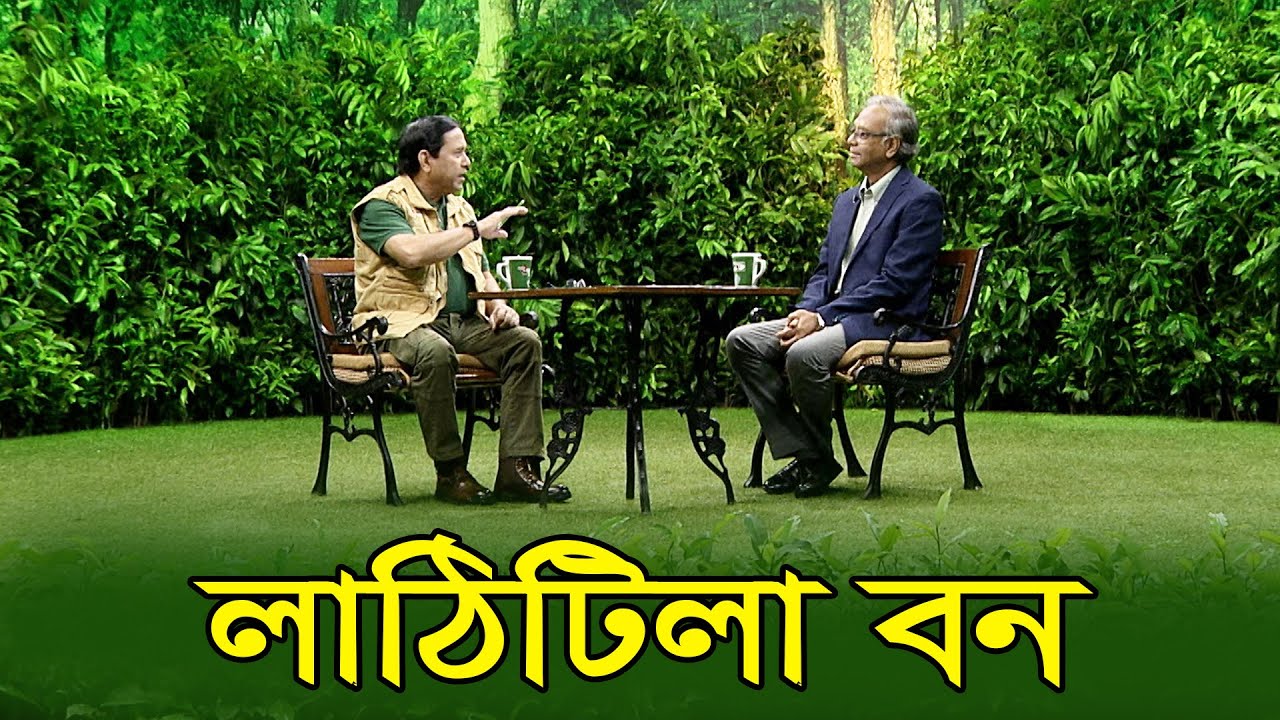লাঠিটিলা বন |  Lathitila Forest | Prokriti O Jibon