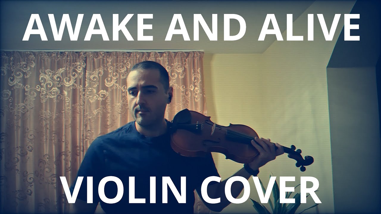 Awake and Alive Violin Version | Skillet Cover by Alex Dumitru