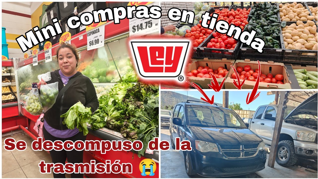 Se descompuso la camioneta 🛻🥹😭Compras en tienda ley 🛒minicompras 